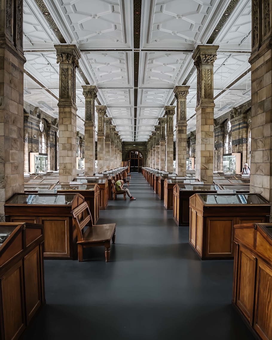 arquitectura, edifici, infraestructura, estructura, establiment, gent, cadira, passadís, pilar, a l'interior, estructura construïda, buit, perspectiva decreixent, el camí a seguir, cap gent, direcció, columna arquitectònica, absència, seient, material de fusta, dia, sostre, pew, taula, en fila, banc, llarg, 4K