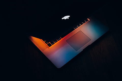 MacBook halbnah, kabellose Technologie, Technologie, Kommunikation, Verbindung, drinnen, keine Leute, schwarzer Hintergrund, Studioaufnahme, dunkel, Computer, Nahansicht, beleuchtet, High Angle View, Smartphone, Tierthemen, tragbares Informationsgerät, Tier, Bequemlichkeit, Laptop, Vogel, 5K, CC0, gemeinfrei, lizenzfrei