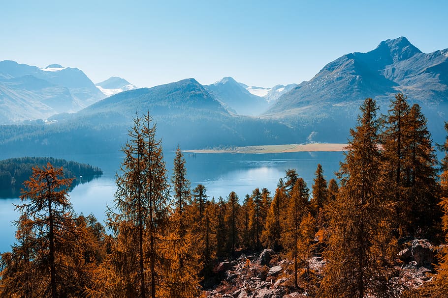 เงียบสงบ, ทะเลสาป, ตอนกลางวัน, ปลูก, ต้นไม้, abies, ฅ้นเฟอร์, ต้นสน, sils im engadin, ภูเขา, ธรรมชาติ, กลางแจ้ง, ต้นสนชนิดหนึ่ง, น้ำ, เทือกเขา, แมวน้ำ, Graubünden, Engadin, jairph, jairph.ch, ป่า, ฤดูใบไม้ร่วง, Scenics - ธรรมชาติ, ความงามในธรรมชาติ, ฉากที่เงียบสงบ, ความเงียบสงบ, ท้องฟ้า, ฉากที่ไม่ใช่ในเมือง, ฤดูหนาว, ที่ดิน, งดงาม, อุณหภูมิเย็น, ห่างไกล, ไม่มีคน, เปลี่ยนแปลง, ภูเขาหิมะ, ยอดเขา, ต้นไม้ต้นสน, 4K