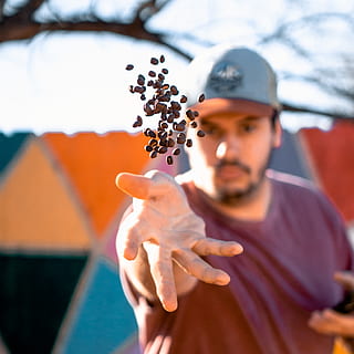mand kaster perler, person, human, plante, finger, beklædning, tøj, træ, hat, kasket, mad, udendørs, frugt, pollen, natur, vejr, fritids aktiviteter, fremstille, baseball kasket, sfære, en person, forfra, fokus på forgrunden, bedrift, ung voksen, portræt, dag, unge mænd, herrer, afslappet tøj, taljen op, rigtige mennesker, fritidsaktivitet, livsstil, spille, voksen, kigger på kameraet, dygtighed, teenage drenge, teenager, 2K, CC0, offentligt domæne, royaltyfrie
