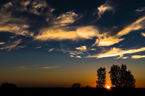 foto siluet, pohon, backlit, awan, Fajar, idilis, alam, indah, langit, matahari terbit, matahari terbenam, awan - langit, keindahan di alam, scenics - alam, bayangan hitam, adegan yang tenang, menanam, ketenangan, tidak ada orang, warna oranye, adegan non-urban, lingkungan Hidup, pemandangan, tanah, di luar rumah, 5K, CC0, domain publik, bebas royalti