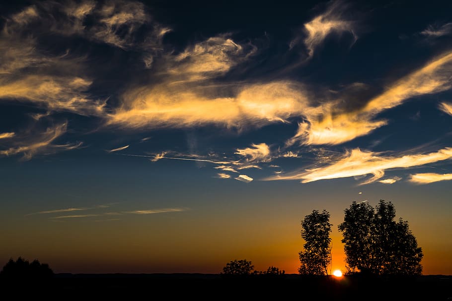 foto di silhouette, alberi, retroilluminato, nuvole, idilliaco, natura, panoramico, cielo, Alba, tramonto, nuvola - cielo, bellezza nella natura, albero, scenics - natura, silhouette, scena tranquilla, pianta, la tranquillità, nessuno, colore arancione, scena non urbana, ambiente, paesaggio, terra, all'aperto, 5K