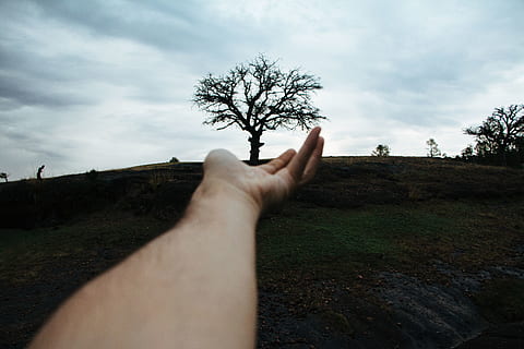 persona que apunta l'arbre, dit, carretera, Carretera bruta, grava, herba, flora, planta, conífera, arbre, mà humana, mà, part del cos humà, cel, una persona, núvol - cel, perspectiva personal, naturalesa, part del cos, dit humà, persones reals, persona irreconeixible, paisatge, activitat d'oci, medi ambient, terra, a l'aire lliure, extremitat humana, 5K, CC0, domini públic, lliure de regalies