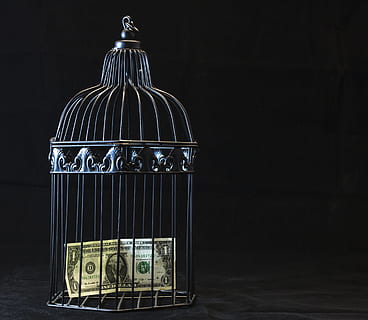 sort, stål kæledyr bur, en, dollar, pengeseddel, regning, bur, beholder, mørk, design, indendørs, penge, stål, papirvaluta, betalingsmiddel, finansiere, forretning, ingen mennesker, stilleben, rigdom, metal, økonomi, repræsentation, fuglebur, kopiere plads, Kunst og håndværk, detail, salg, kreativitet, håndværk, sort baggrund, fristelse, 4K, CC0, offentligt domæne, royaltyfrie