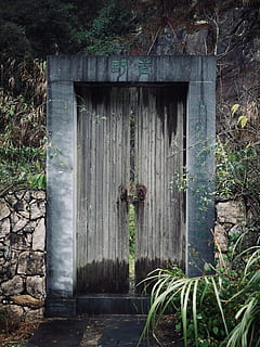 porta grisa tancada, porta, a l'aire lliure, naturalesa, edifici, habitatge, camp, casa, cabina, rural, desembarcament, planta, refugi, planta en test, jar, ceràmica, gerro, jardinera, heura, pissarra, arquitectura, estructura construïda, cap gent, dia, material de fusta, entrada, vell, tancat, creixement, exterior de l'edifici, seguretat, color verd, abandonat, animal, aigua, 4K, CC0, domini públic, lliure de regalies