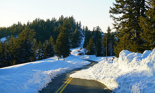 Kiefern, Weiß, Himmel, Baum, Pflanze, Tanne, abies, draußen, Natur, Nadelbaum, Kiefer, Fichte, Schnee, Eis, Land, Vegetation, Landschaft, Autobahn, Weg, Straße, Wasser, Berg, Steigung, Winter, kalte Temperatur, Schönheit in der Natur, Ruhe, Szenen - Natur, Nicht-städtische Szene, ruhige Szene, Tag, weiße Farbe, Abdeckung, keine Leute, Wachstum, gefroren, schneebedeckter Berg, 8K, CC0, gemeinfrei, lizenzfrei