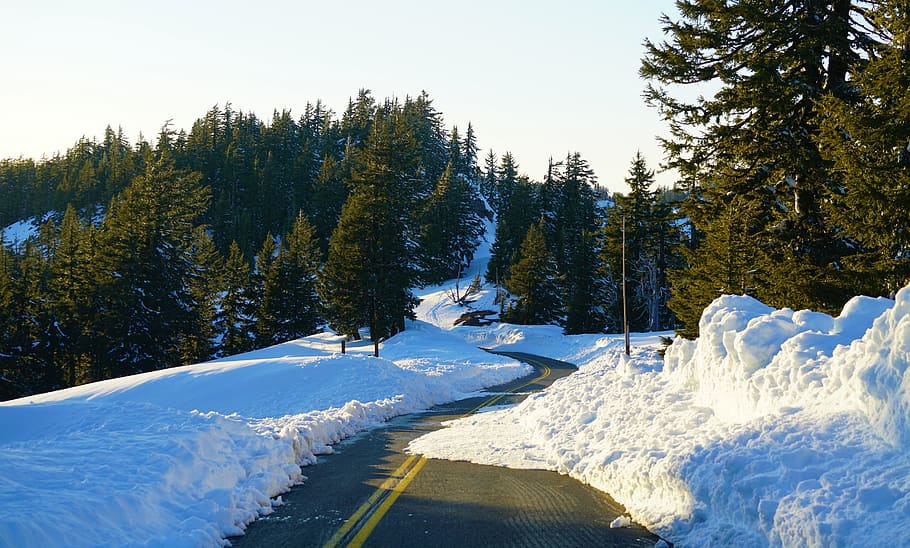 Kiefern, Weiß, Himmel, Baum, Pflanze, Tanne, abies, draußen, Natur, Nadelbaum, Kiefer, Fichte, Schnee, Eis, Land, Vegetation, Landschaft, Autobahn, Weg, Straße, Wasser, Berg, Steigung, Winter, kalte Temperatur, Schönheit in der Natur, Ruhe, Szenen - Natur, Nicht-städtische Szene, ruhige Szene, Tag, weiße Farbe, Abdeckung, keine Leute, Wachstum, gefroren, schneebedeckter Berg, 8K