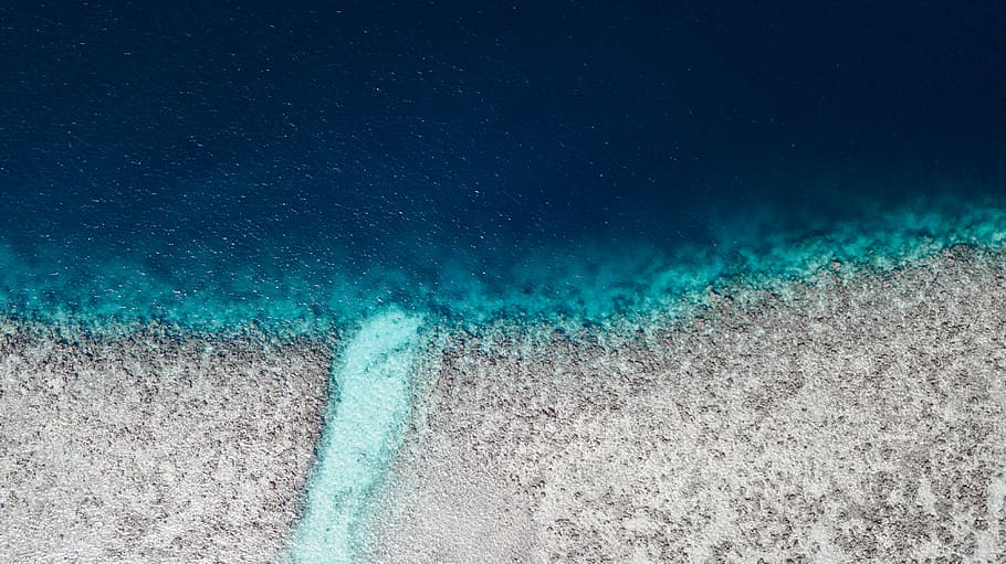 onde oceaniche, mare, natura, all'aperto, acqua, oceano, subacqueo, scenario, vista aerea, paesaggio, sabbia, terra, scogliera, vita marina, animale, schiuma, muffa, barriera corallina, litorale, costa, spiaggia, movimento, blu, sottomarino, persone, sport, sport acquatico, bellezza nella natura, giorno, spruzzi, viaggio, cielo, scenics - natura, potere in natura, color turchese, 4K
