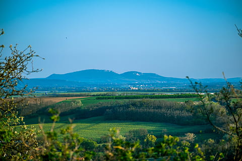 Palava, dalları, ağaç, ağaçlar, alan, peyzaj, mavi, yeşil, orman, yeşillik, doğa, bahar, gökyüzü, bitki, manzaralar - doğa, dağ, çevre, doğada güzellik, sakin sahne, huzur, insansız, büyüme, arazi, gün, kopya alanı, dağ silsilesi, tarım, açık havada, 5K, CC0, kamu malı, telif ücretsiz