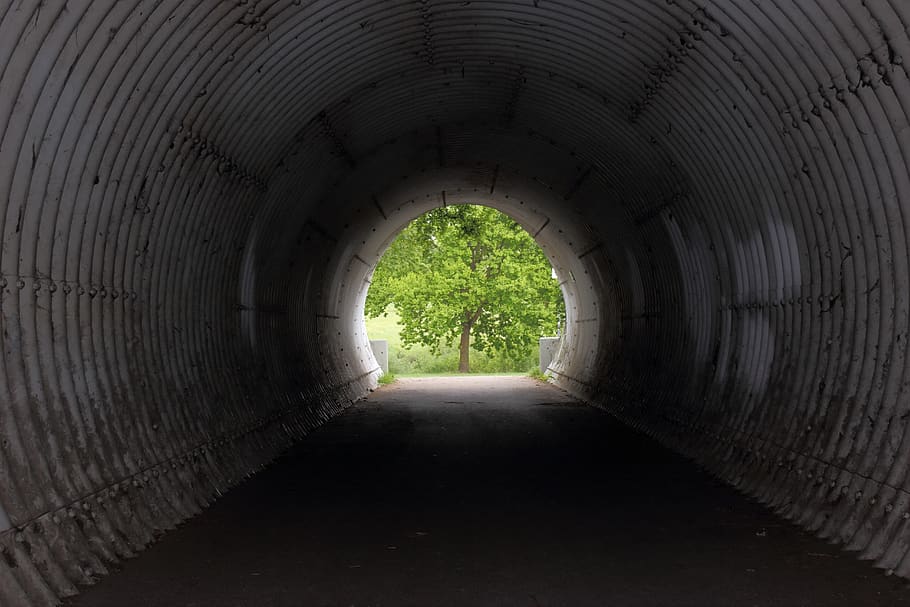 túnel, arbre, llum, fosc, centre, arbre caducifoli, tub, final, passatge, punt de fuga, arquitectura, cap gent, direcció, arc, dia, el camí a seguir, llum al final del túnel, estructura construïda, planta, buit, naturalesa, a l'aire lliure, perspectiva decreixent, carretera, absència, forma geomètrica, funció de construcció de parets, concret, nivell superficial, 5K