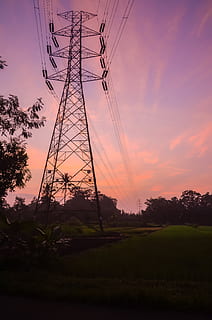 ricefield, sky, sunset, electricity, technology, power line, electricity pylon, plant, cable, power supply, fuel and power generation, tree, connection, beauty in nature, field, no people, cloud - sky, orange color, land, silhouette, low angle view, 4K, CC0, public domain, royalty free