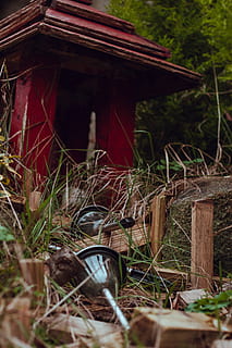 jardin, lumières, chemin, cabane, déformé, perturbé, plus grandi, herbe, feuilles, bois, vert, rouge, plante, terre, journée, la nature, personne, bois - matériau, structure construite, architecture, mise au point sélective, champ, abandonné, en plein air, vieux, arbre, obsolète, l'histoire, bâtiment, métal, croissance, roue, 2K, CC0, domaine public, libre de droits