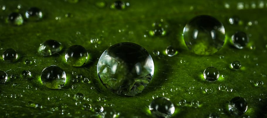 Makrofotografie, Wassertropfen, verwischen, klar, Nahansicht, Tau, Tautropfen, Tröpfchen, Tropfen, Fokus, Frische, h2o, Flüssigkeit, Makro, rein, Reinheit, Regentropfen, Wasser, Reflexion, grüne Farbe, keine Leute, Kugel, Vollbild, selektiver Fokus, Blase, nass, fallen, Hintergründe, glänzend, Natur, Murmeln, transparent, große gruppe von gegenständen, drinnen, Glas - Material, 2K