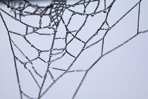 Spinnennetz Illustration, Nahansicht, Spinnennetz, Makro, Netz, nass, Studioaufnahme, keine Leute, Muster, drinnen, Draht, Technologie, Netting, selektiver Fokus, weiße Farbe, Maschendraht, Natur, Hintergründe, Gitter, Textil-, farbiger Hintergrund, net - Sportgeräte, Blau, Verbindung, Metall, Komplexität, 5K, CC0, gemeinfrei, lizenzfrei