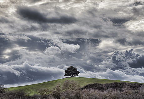 grön, träd, molnig, himmel, utomhus, gräsmark, fält, natur, växt, pieve a salti, siena, tuscany, väder, backe, moln, vall, stackmoln, vegetation, leccio di peve en salti-siena, landsbygden, väg, buske, moln - himmel, skönhet i naturen, miljö, scenics - natur, landa, landskap, lugn plats, lugn, inget folk, gräs, dag, icke-urbana scenen, avlägsen, olycksbådande, 2K, CC0, offentligt domän, royaltyfria