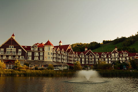 ponte, rio, tarde, reflexão, parque, via fluvial, arquitetura, agua, estrutura construída, exterior do edifício, céu, construção, natureza, casa, copie o espaço, plantar, movimento, beira-mar, ninguém, dia, céu limpo, árvore, ao ar livre, casinha, 5K, CC0, domínio público, royalty free