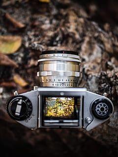 grå dslr kamera, kamera, Skov, træ, blad, se finder, udsigt, gammel, årgang, efterår, natur, udendørs, fotografering, perspektiv, spejl, afspejling, len, EXA, teknologi, fotografering temaer, ingen mennesker, meddelelse, kamera - fotografisk udstyr, tæt på, retro stylet, tekst, fotografisk udstyr, enkelt objekt, digitalt kamera, indendørs, fokus på forgrunden, fotografere, aktivitet, køkkenredskaber, historie, antik, sølvfarvet, 4K, CC0, offentligt domæne, royaltyfrie