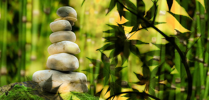 wellness, sten, stak, lempelse, meditation, balance, åndelig, harmoni, natur, baggrund, spiritualitet, slap af, sindsro, Asien, grøn farve, ingen mennesker, vækst, plante, fokus på forgrunden, dag, blad, plante del, tæt på, udendørs, træ, solid, Kunst og håndværk, klippe, zen-lignende, sten - objekt, jord, friskhed, rullesten, 4K, CC0, offentligt domæne, royaltyfrie