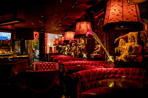 leeren, Bar, angezündet, Beleuchtung, Innenarchitektur, drinnen, Möbel, Couch, Zimmer, Person, Mensch, Theater, Pub, Wohnzimmer, Bartheke, Restaurant, Kino, Tiger, Tierwelt, Tier, Säugetier, Lampe, Stuhl, rot, beleuchtet, Geschäft, Sitz, Nacht-, Essen und Trinken, die Architektur, keine Leute, gebaute Struktur, große gruppe von gegenständen, Fülle, Abwesenheit, in einer Reihe, Luxus, Kunst, Kultur und Unterhaltung, Verkauf, elektrische Lampe, 5K, CC0, gemeinfrei, lizenzfrei