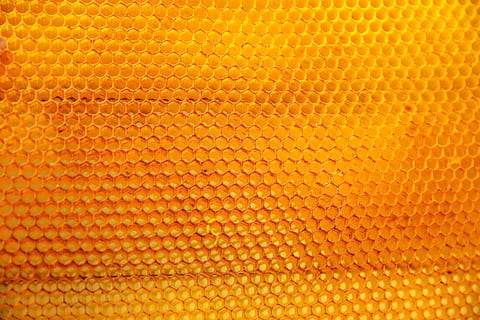 groc, patró de textura de bombolles, patró., menjar, abella, bresca, mel, fons, marc complet, textura, primer pla, patró, cap gent, color taronja, resum, tèxtil, efecte texturat, primer pla extrem, macro, temes d'animals, a l'interior, disseny, pilota, bàsquet - pilota, paper, escala d’animals, 5K, CC0, domini públic, lliure de regalies