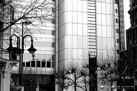 architektura, budova, infrastruktura, struktura, zřízení, Okna, kondominium, hotel, kancelář, práce, městský, město, stromy, Černý a bílý, černobílý, exteriér budovy, stavba, strom, nikdo, holý strom, den, nízký úhel pohledu, pouliční osvětlení, osvětlovací zařízení, okno, venku, ulice, rostlina, kancelářská budova exteriér, větev, Příroda, sklo - materiál, 4K