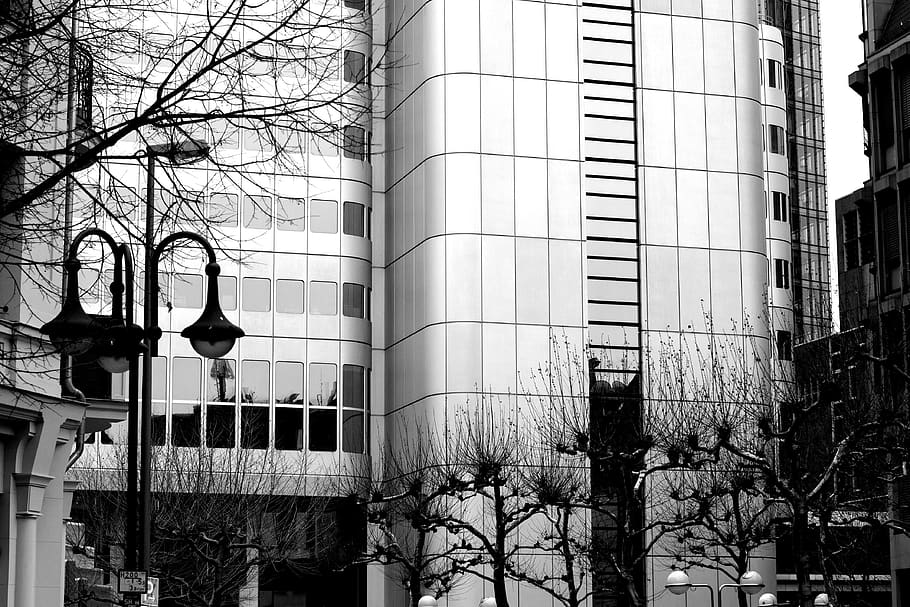 architektura, budova, infrastruktura, struktura, zřízení, Okna, kondominium, hotel, kancelář, práce, městský, město, stromy, Černý a bílý, černobílý, exteriér budovy, stavba, strom, nikdo, holý strom, den, nízký úhel pohledu, pouliční osvětlení, osvětlovací zařízení, okno, venku, ulice, rostlina, kancelářská budova exteriér, větev, Příroda, sklo - materiál, 4K