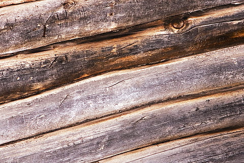 fundal, bord, maro, culoare, birou, exterior, material, model, scândură, stare brută, probă, structura, suprafaţă, textură, texturată, lemn, de lemn, lemn - material, nici o persoana, fundaluri, cadru complet, a închide, zi, în aer liber, animale tematice, vedere în unghi mare, animal, cherestea, natură, rumegus, geologie, 2K, CC0, domeniu public, fără drepturi de autor