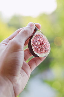 ranka, tapetai, fonas, pobūdį, vsco, pav, figos, vaisiai, žmogaus ranka, žmogaus kūno dalis, vienas asmuo, ūkyje, sveika mityba, maisto, šviežumas, Maistas ir gėrimai, kūno dalis, gerovę, pirštu, sutelkti dėmesį į naujas žinias, realūs žmonės, žmogaus pirštu, Iš arti, neatpažįstamas asmuo, dieną, lauke, subrendęs, 5K, CC0, Viešasis domenas, nemokamai