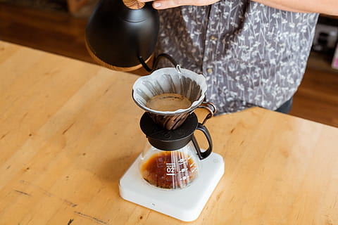 teko hitam, susu, baristum, adelaide, kedai kopi, tuangkan kopi, biji kopi, seni latte, v60, tuangkan, chemex, kopi, makanan dan minuman, minum, minuman, cangkir, meja, dalam ruangan, satu orang, kopi - minum, kesegaran, cangkir kopi, makanan, memegang, penuangan, persiapan, orang sungguhan, minuman panas, tampilan sudut tinggi, tangan, balapecah, 5K, CC0, domain publik, bebas royalti