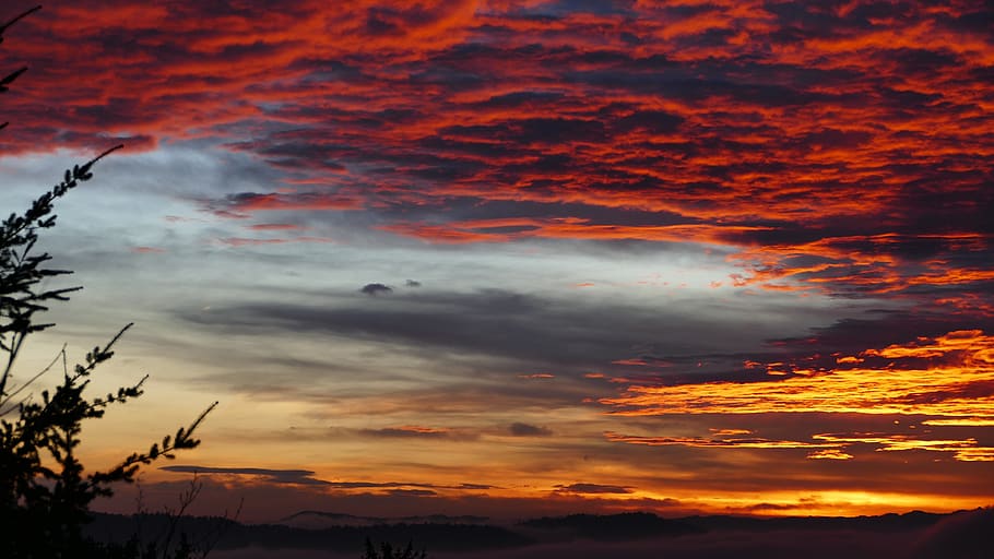 Morgenrot, cer, copac, nori, foc, actorie, nor - cer, apus de soare, frumusețe în natură, culoare portocalie, scenice - natura, liniște, siluetă, natură, nici o persoana, o scenă liniștită, idilic, vedere unghiulară joasă, dramatic cer, în aer liber, mediu inconjurator, acoperit de nori, atmosfera moody, amurg, cerul romantic, de rău augur, 5K