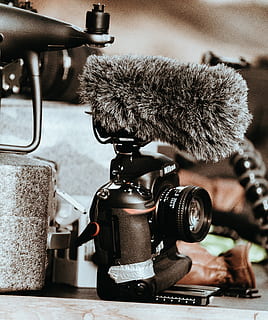 fotocamera dslr nera, nessuno, macchina fotografica - attrezzatura fotografica, in casa, avvicinamento, tecnologia, temi fotografici, concentrarsi sulle conoscenze acquisite, natura morta, tavolo, attrezzatura fotografica, attrezzatura, telecamera, giorno, animale, obiettivo - strumento ottico, Camera digitale, gatto, interno di casa, metallo, 5K, CC0, dominio pubblico, privo di copyright