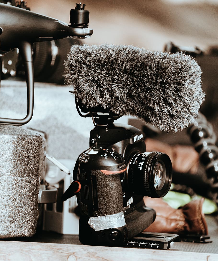 fotocamera dslr nera, nessuno, macchina fotografica - attrezzatura fotografica, in casa, avvicinamento, tecnologia, temi fotografici, concentrarsi sulle conoscenze acquisite, natura morta, tavolo, attrezzatura fotografica, attrezzatura, telecamera, giorno, animale, obiettivo - strumento ottico, Camera digitale, gatto, interno di casa, metallo, 5K