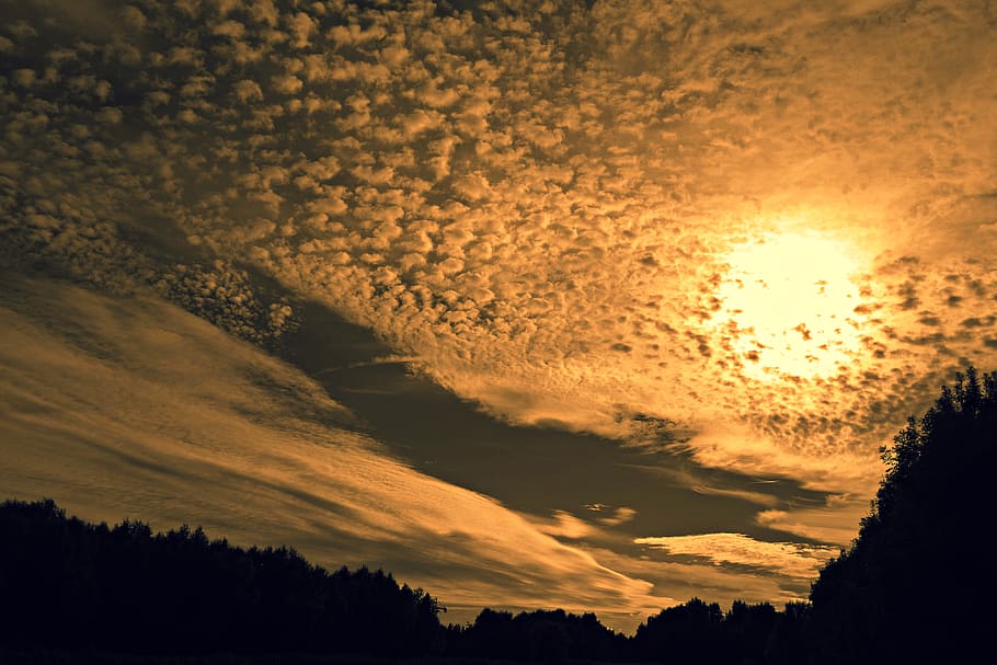 daurat, hores, blanc, ennuvolat, cel, núvols, alba, llum, naturalesa, sol, sortida del sol, posta de sol, arbres, temps, núvol - cel, bellesa a la natura, tranquil·litat, arbre, escenics - natura, silueta, escena tranquil·la, cap gent, planta, idíl·lic, vista d’angle baix, color taronja, a l'aire lliure, cel dramàtic, por, llum solar, 4K