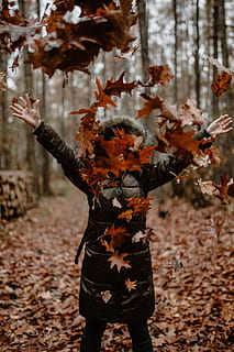 autumn, walk, forest, foggy, weather, november, fog, fall, woods, plant, day, focus on foreground, one person, tree, nature, leaf, plant part, human arm, outdoors, land, growth, change, limb, arms outstretched, standing, beauty in nature, fragility, leaves, arms raised, human limb, 5K, CC0, public domain, royalty free