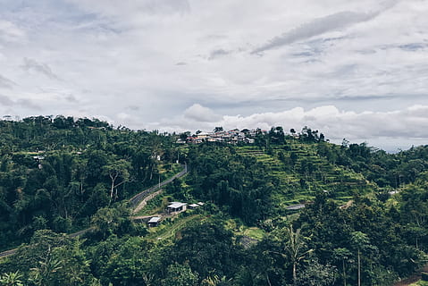 copaci verzi cu frunze, în aer liber, decor, natură, peisaj, Indonezia, vedere aeriene, pantă, vegetație, plantă, baturiti, JL. antapan, teren, panoramic, pădure, cer, mediu rural, copac, copaci, munţi, palmier, nor - cer, creştere, Culoarea verde, scenice - natura, frumusețe în natură, o scenă liniștită, mediu inconjurator, zi, liniște, nici o persoana, scenă non-urbană, vedere în unghi mare, arhitectură, 4K, CC0, domeniu public, fără drepturi de autor