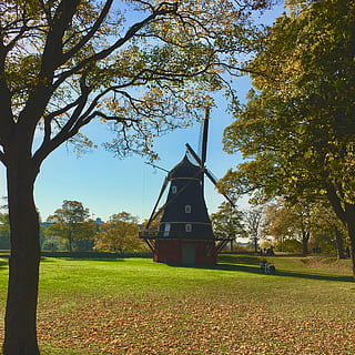 planta, herba, motor, màquina, arbre, københavn, kastellet 52, Dinamarca, tronc de l'arbre, humà, persona, turbina, camp, grua de construcció, gespa, aerogenerador, roure, a l'aire lliure, pastures, terra, naturalesa, medi ambient, creixement, color verd, estructura construïda, dia, arquitectura, paisatge, cel, exterior de l'edifici, cap gent, bellesa a la natura, generació de combustible i energia, tranquil·litat, canvi, 2K, CC0, domini públic, lliure de regalies