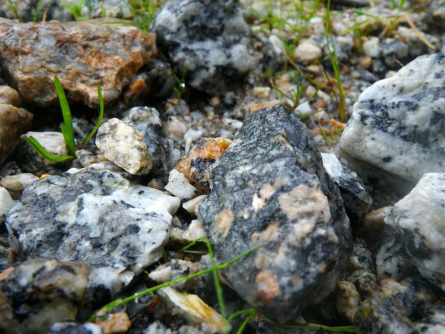 chuva, Pedras, klippe, solid, rock-objekt, dyr, dyreliv, natur, dyre temaer, ingen mennesker, dag, dyr i naturen, tekstureret, tæt på, ru, et dyr, jord, udendørs, selektiv fokusering, hvirvelløse, insekt, sten - objekt, marine, 1080P