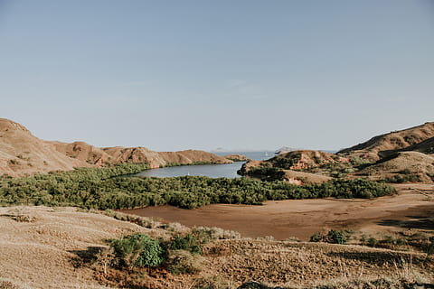 plantes de fulla verda, naturalesa, a l'aire lliure, terra, línia de costa, aigua, oceà, mar, indonèsia, promontori, Costa, illa de rinca, illa, sòl, mesa, camp, pastures, arquitectura, edifici, península, cel, bellesa a la natura, escenics - natura, tranquil·litat, escena tranquil·la, muntanya, planta, dia, escena no urbana, cap gent, cel clar, còpia espai, paisatge, medi ambient, sorra, desert, clima àrid, clima, 4K, CC0, domini públic, lliure de regalies
