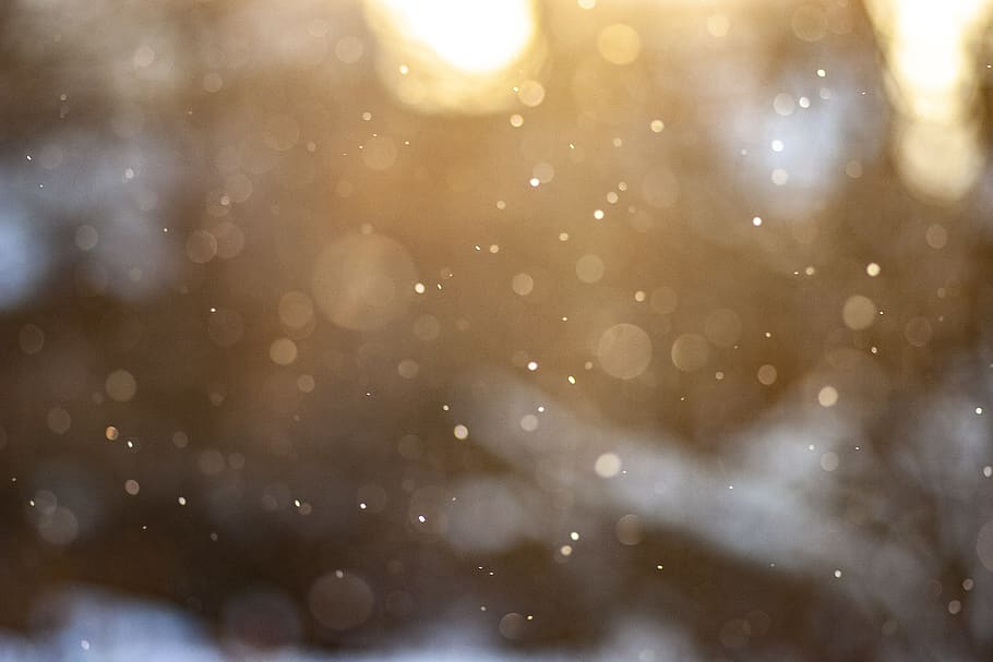 neu, hivern, nevar, temperatura de fred, cap gent, defocated, còpia espai, floc de neu, fons, naturalesa, festa, Nadal, enfocament selectiu, celebració, a l'aire lliure, vent de neu, llum solar, bellesa a la natura, caient, flare de la lent, clima extrem, puresa, brillant, 2K