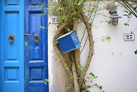Blau, Tür, Pflanze, Eingang, Tag, keine Leute, Baum, Briefkasten, gebaute Struktur, die Architektur, draußen, mail, Kommunikation, hängend, Gebäudehülle, Gebäude, Nummer, Natur, Holz - Material, Ast, 5K, CC0, gemeinfrei, lizenzfrei