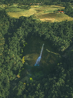 waterval, omgeven, bomen, vegetatie, fabriek, natuur, buitenshuis, land-, boom, struik, water, regenwoud, luchtfoto, Bos, bos-, dier, vis, landschap, oerwoud, veld-, groen, drone uitzicht, scenics - natuur, groene kleur, schoonheid in de natuur, rustige scène, groei, milieu, kalmte, hoge hoekmening, dag, niet-stedelijke scène, geen mensen, idyllisch, stromend water, vloeiende, kracht in de natuur, 4K, CC0, publiek domein, royaltyvrij