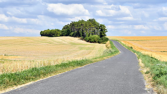 paesaggio, strada, i campi, albero, campo, cielo, la genevraye, Francia, pianta, terra, nuvola - cielo, scenics - natura, ambiente, scena tranquilla, scena rurale, bellezza nella natura, natura, nessuno, mezzi di trasporto, la tranquillità, la strada davanti, giorno, scena non urbana, all'aperto, prospettiva decrescente, 5K, CC0, dominio pubblico, privo di copyright