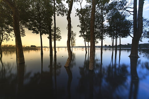 západ slunce, venkovní, strom, Pozadí, pěkný, přírodní, zelená, krása, nebe, voda, plná barva, rostlina, cestovat, jaro, sezóna, scenérie, venku, krk, singl, slunce, odrážet, impozantní, park, tropický, les, scéna, podzim, scénický, vlna, ráno, sama, svítání, smutný, klid, odraz, jezero, klidné scény, krása v přírodě, scenics - příroda, růst, nikdo, Příroda, mimoměstské scény, kufr, kmen stromu, idylický, nábřeží, den, odraz jezero, 8K, CC0, veřejná doména, bez autorských práv