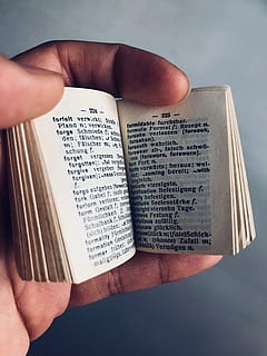 mini, petit, minúscul, llibre, alemany, vermell, mà humana, mà, part del cos humà, celebració, una persona, publicació, text, persones reals, persona irreconeixible, paper, dit, part del cos, dit humà, perspectiva personal, fons gris, guió occidental, primer pla, gris, estudiar, 4K, CC0, domini públic, lliure de regalies