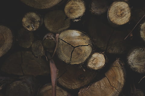 Indie, munnar, dřevo - materiál, dřevo, palivové dříví, zásobník, log, strom, dřevařský průmysl, velká skupina objektů, odlesňování, celý rám, les, hojnost, nikdo, detail, pozadí, Příroda, halda, otázky životního prostředí, paliva a energie, 5K, CC0, veřejná doména, bez autorských práv