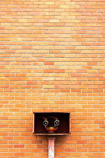 brown, concrete, brick wall, bricks, brickwall, brickwork, colors, design, exterior, pipe, solid, surface, valves, wall, brick, wall - building feature, built structure, technology, day, architecture, building exterior, pattern, no people, outdoors, connection, red, front view, shape, photography themes, copy space, orange color, 4K, CC0, public domain, royalty free
