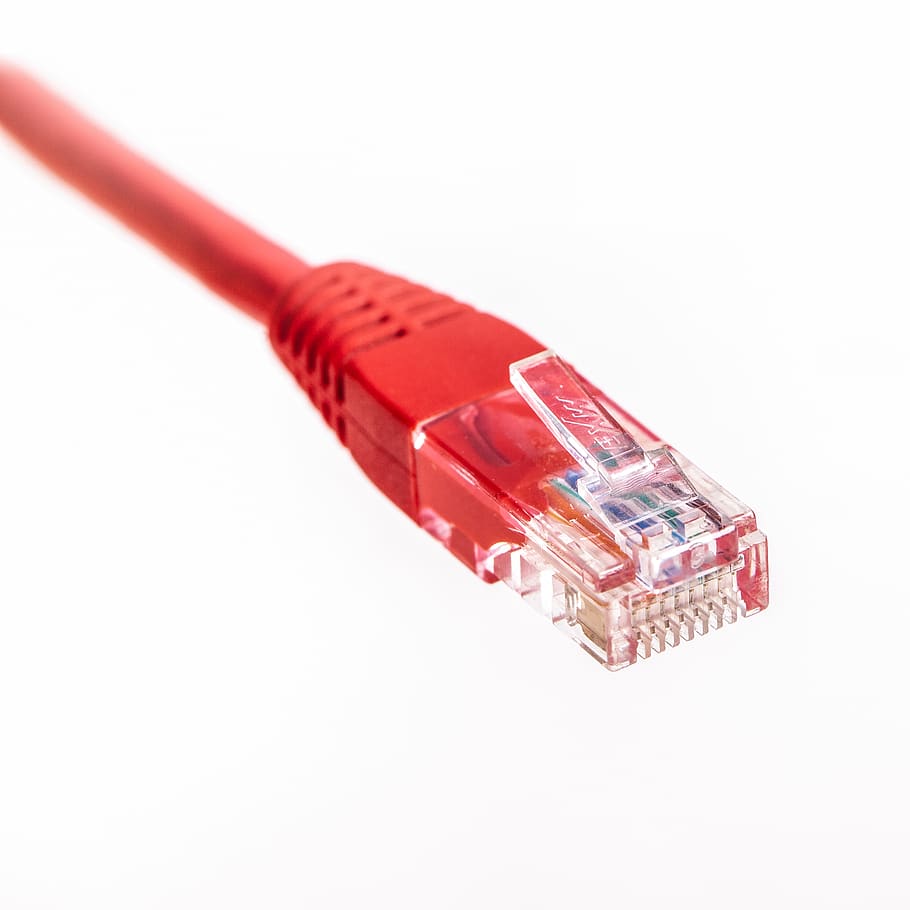 červený ethernetový tester, spojení, sdělení, bezdrátové technologie, počítačová síť, Internet, počítačový kabel, bílé pozadí, technologie, studio shot, Červené, kabel, zástrčku síťového připojení, vystříhnout, nikdo, detail, uvnitř, počítačové vybavení, počítač, podnikání, jeden objekt, globální komunikace, ekonomika, 2K