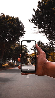 Telefon, zellular, Handy, Hand, Straße, Bäume, menschliche Hand, halten, Smartphone, kabellose Technologie, menschliches Körperteil, Technologie, tragbares Informationsgerät, Fotografie-Themen, eine Person, Baum, Kommunikation, echte Menschen, Mobiltelefon, Fotografieren, Himmel, Fokus auf den Vordergrund, Pflanze, Natur, Aktivität, draußen, Finger, 5K, CC0, gemeinfrei, lizenzfrei