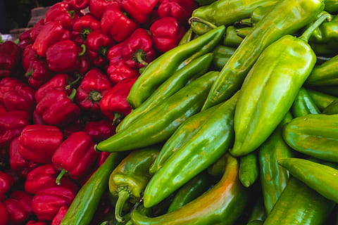 marroquí, tamraght, vegetals, menjar, menjar i beguda, mercat, gran grup d'objectes, alimentació saludable, frescor, color verd, abundància, benestar, venda al detall, pebre, a la venda, fons, Paradeta, marc complet, vermell, pebrot picant, espècia, elecció, cap gent, venda, consumisme, madur, 5K, CC0, domini públic, lliure de regalies