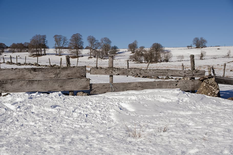 lukning, felter, prærie, avl, kold temperatur, sne, vinter, himmel, natur, dag, træ, dækker, ingen mennesker, Mark, hvid farve, skønhed i naturen, ro, skyfri himmel, rolig scene, scenics - natur, miljø, jord, barriere, udendørs, 5K
